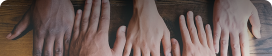 Diversité & Insertion